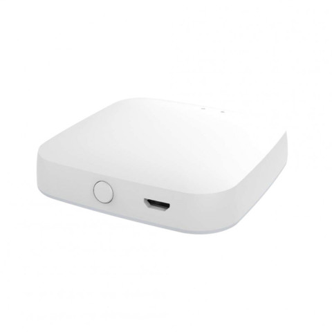 ZigBee հաբ